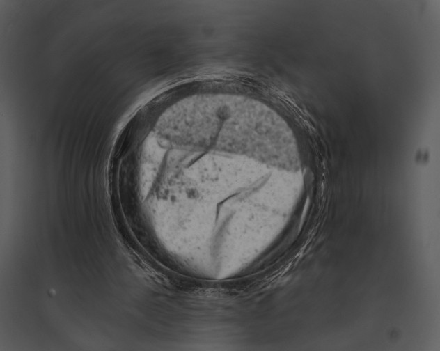 X0000095510244200801041206