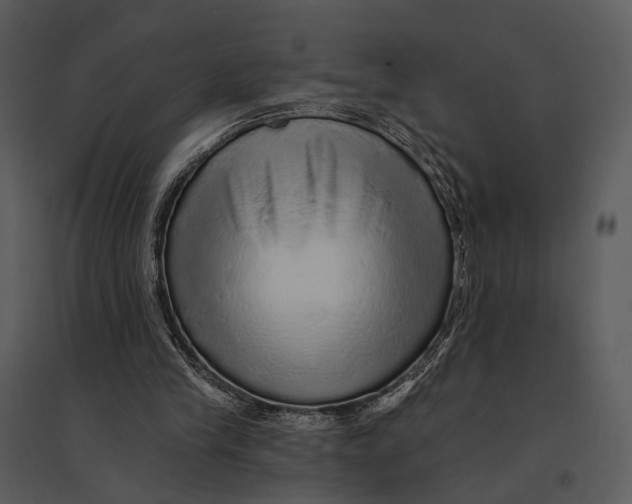 X0000095510245200801041206