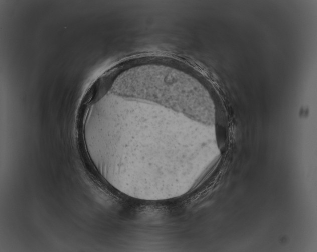 X0000095510248200801041207