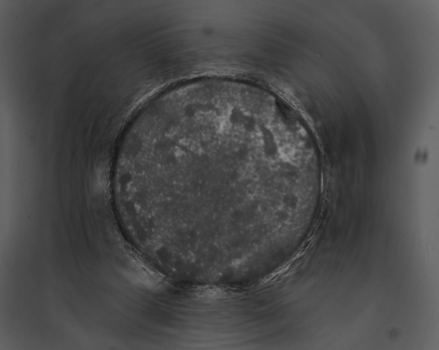 X0000095510249200801041207