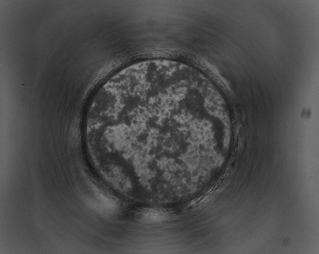 X0000095510250200801041207