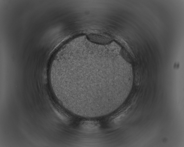 X0000095510251200801041207