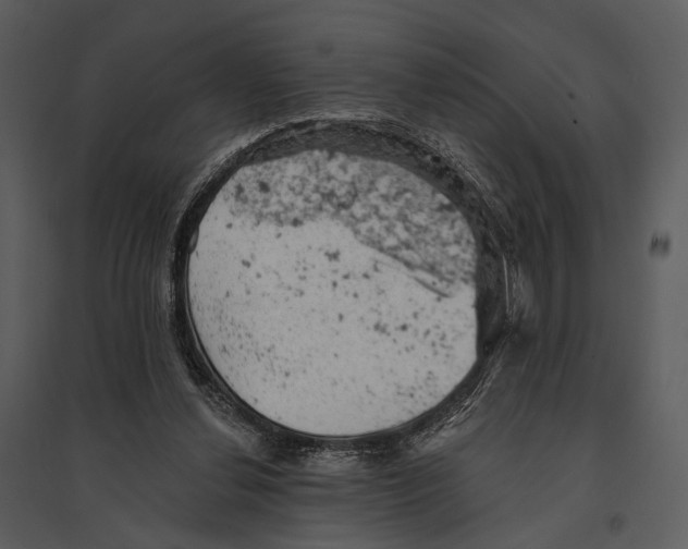 X0000095510252200801041207