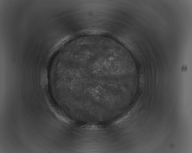 X0000095510254200801041207