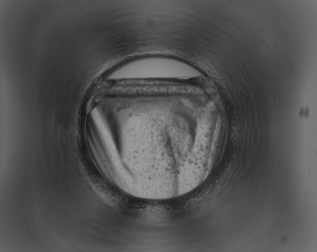 X0000095510256200801041207