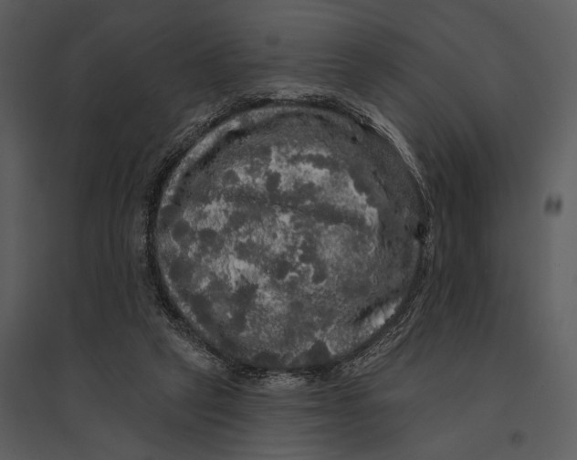 X0000095510257200801041207