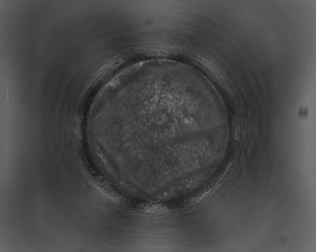 X0000095510258200801041207