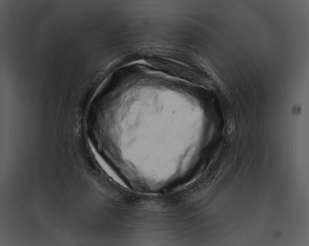 X0000095510259200801041207