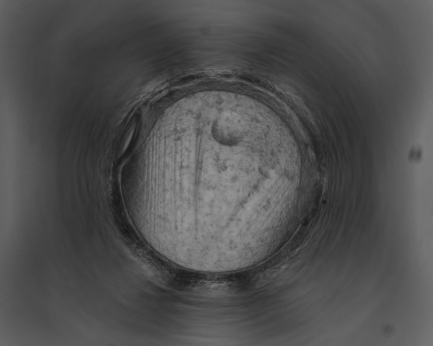 X0000095510260200801041207