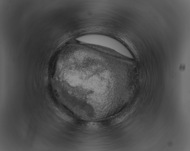 X0000095510261200801041207