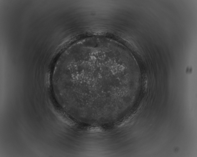 X0000095510262200801041207