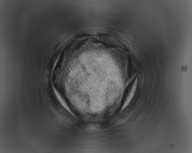 X0000095510263200801041207