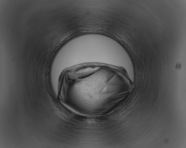 X0000095510264200801041207