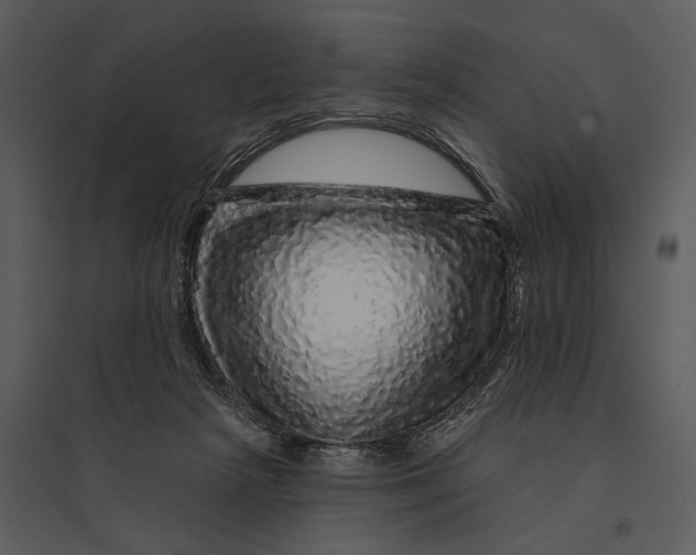 X0000095510265200801041207