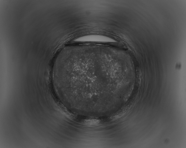 X0000095510266200801041207