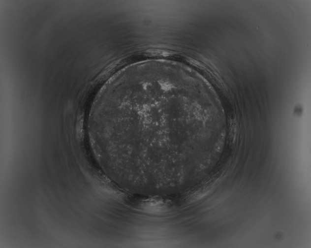 X0000095510267200801041207