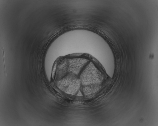 X0000095510268200801041207