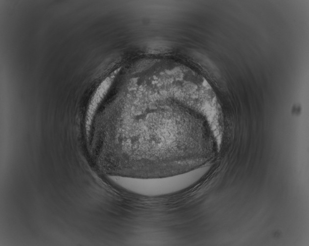 X0000095510269200801041207