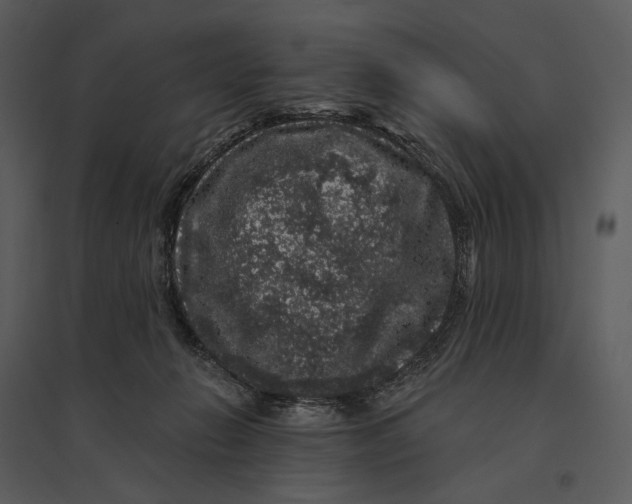 X0000095510270200801041207