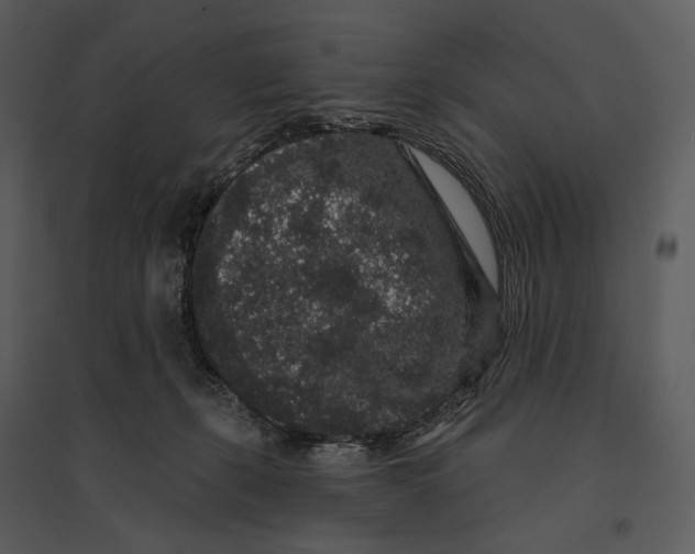 X0000095510271200801041207