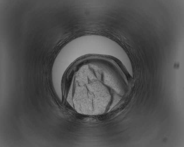 X0000095510272200801041207