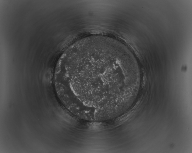 X0000095510273200801041207