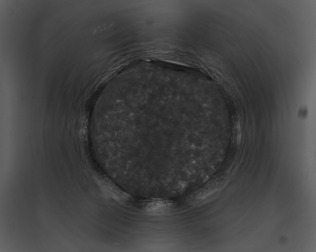 X0000095510274200801041207