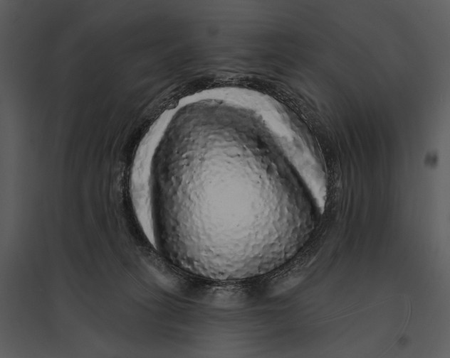 X0000095510275200801041207