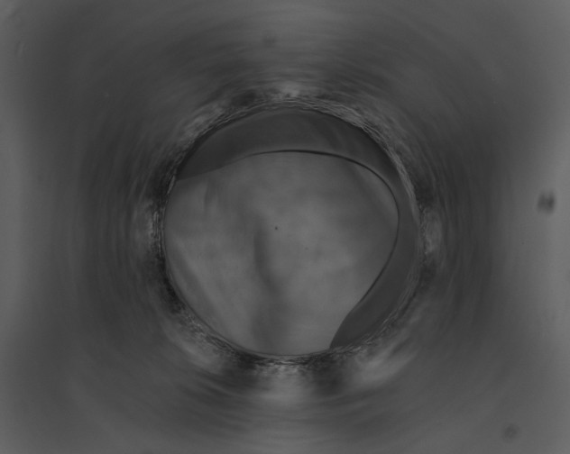 X0000095510276200801041207