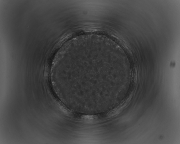 X0000095510277200801041207