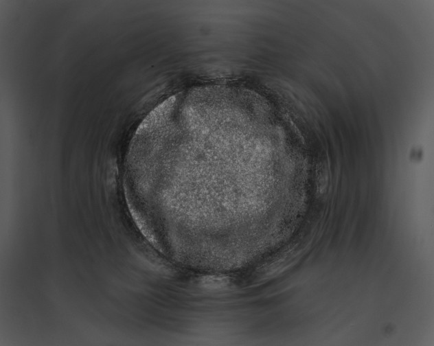 X0000095510279200801041207