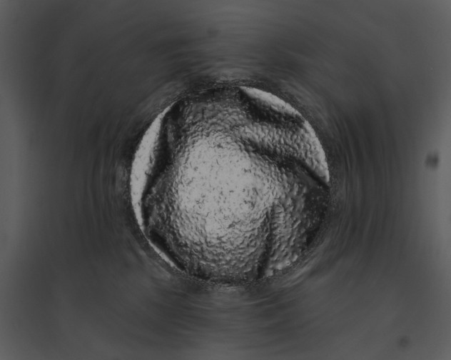 X0000095510281200801041207