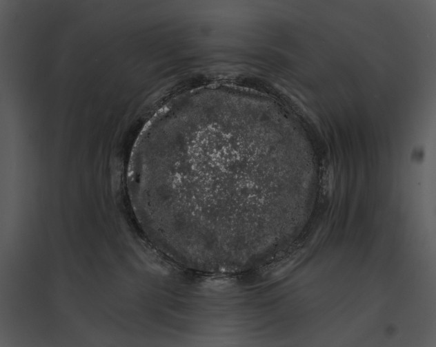 X0000095510283200801041207