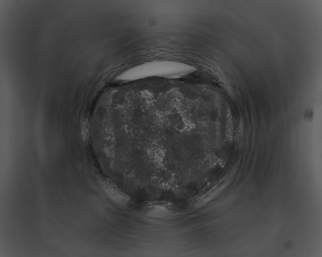 X0000095510285200801041207