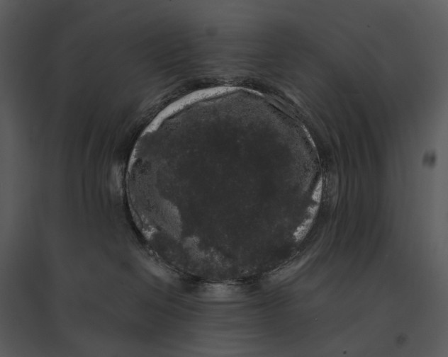 X0000095510286200801041207