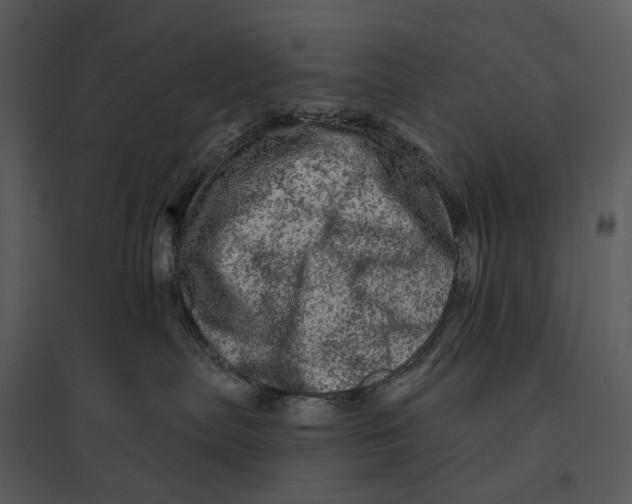 X0000095510287200801041207