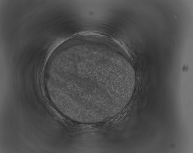 X0000095510289200801041206