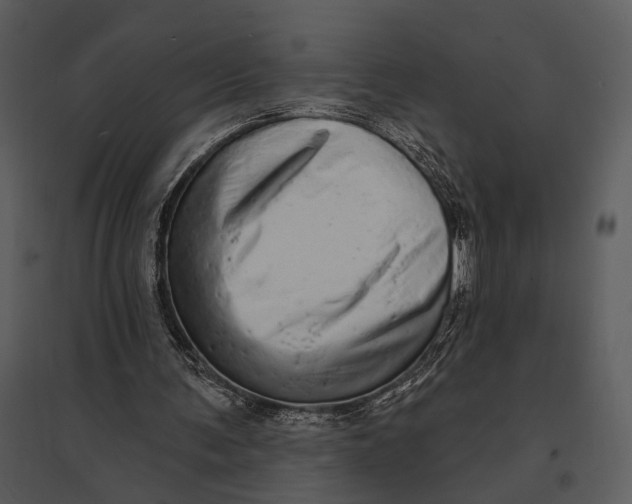 X0000095510291200801041206