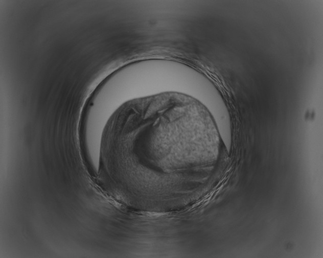 X0000095510292200801041206
