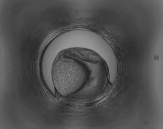 X0000095510293200801041206