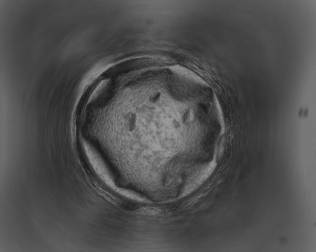 X0000095510294200801041206