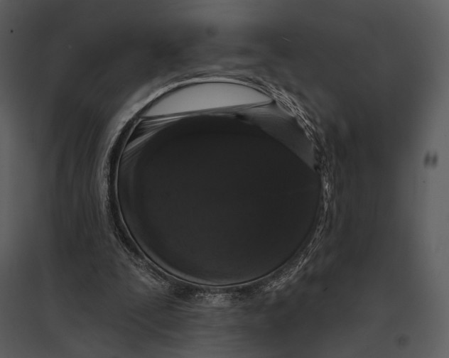X0000095510295200801041206