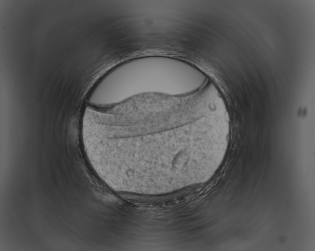 X0000095510297200801041206