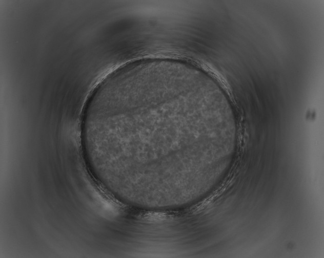 X0000095510298200801041206