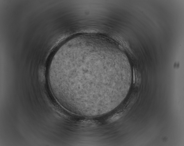 X0000095510300200801041206
