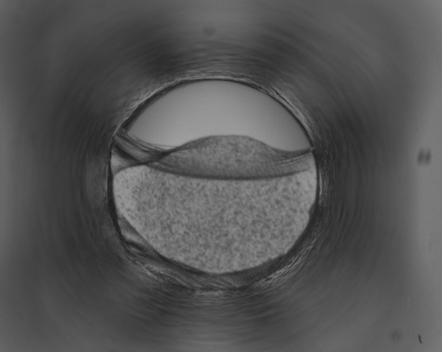 X0000095510301200801041206