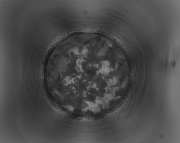 X0000095510303200801041206