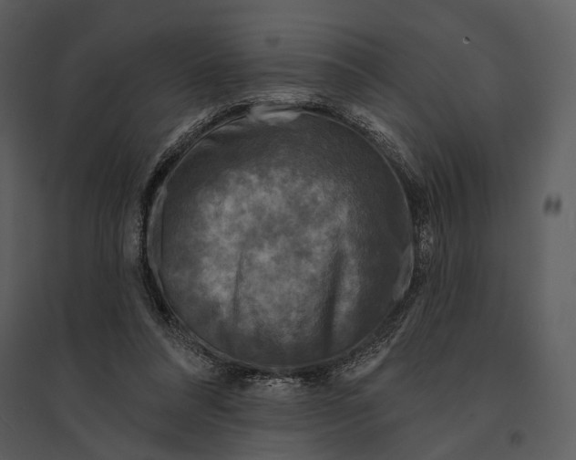 X0000095510304200801041206
