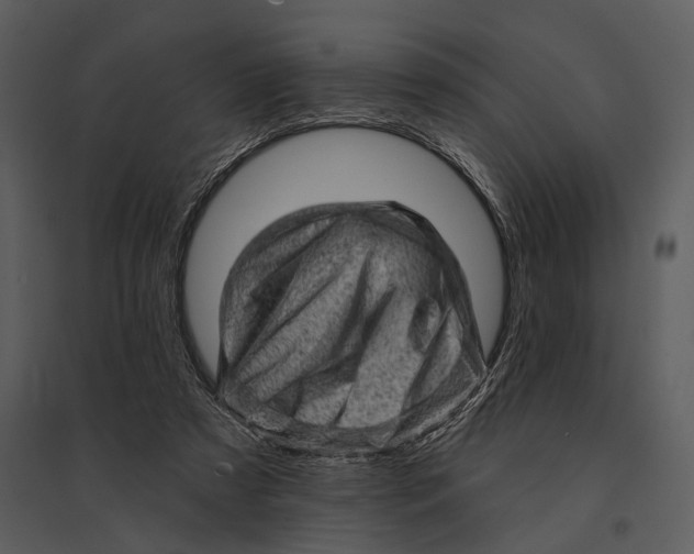 X0000095510305200801041206