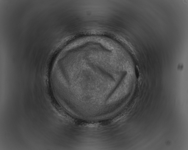 X0000095510306200801041206